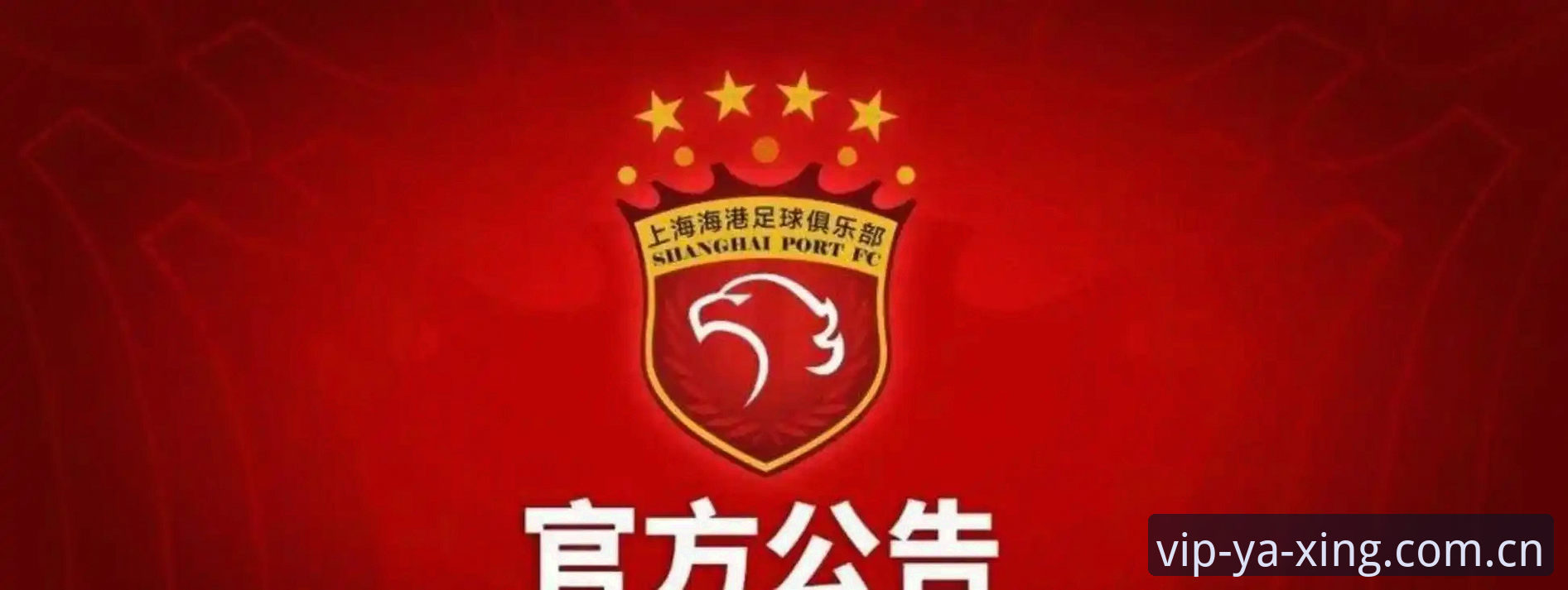 足协第三批禁足名单深度解读：从赛场到官场的足球反腐操作教程